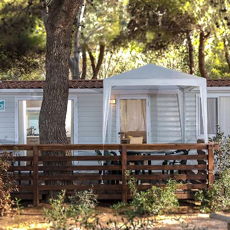 אורבטלו Giannella Camping מראה חיצוני תמונה