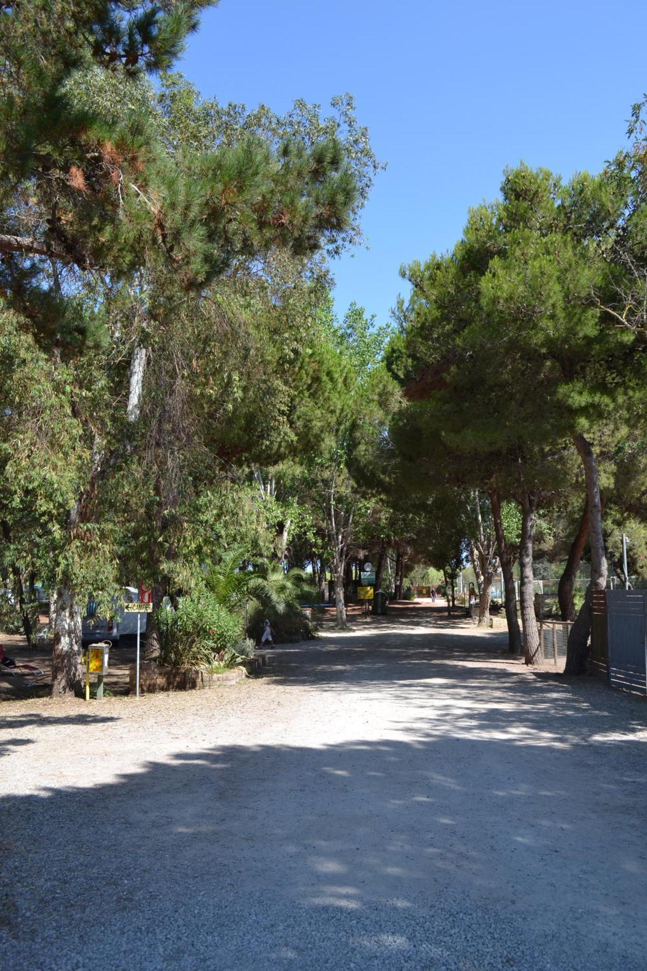 אורבטלו Giannella Camping מראה חיצוני תמונה